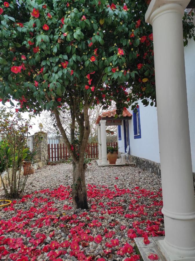Fazenda Do Marante Hostel Tomar Exterior photo
